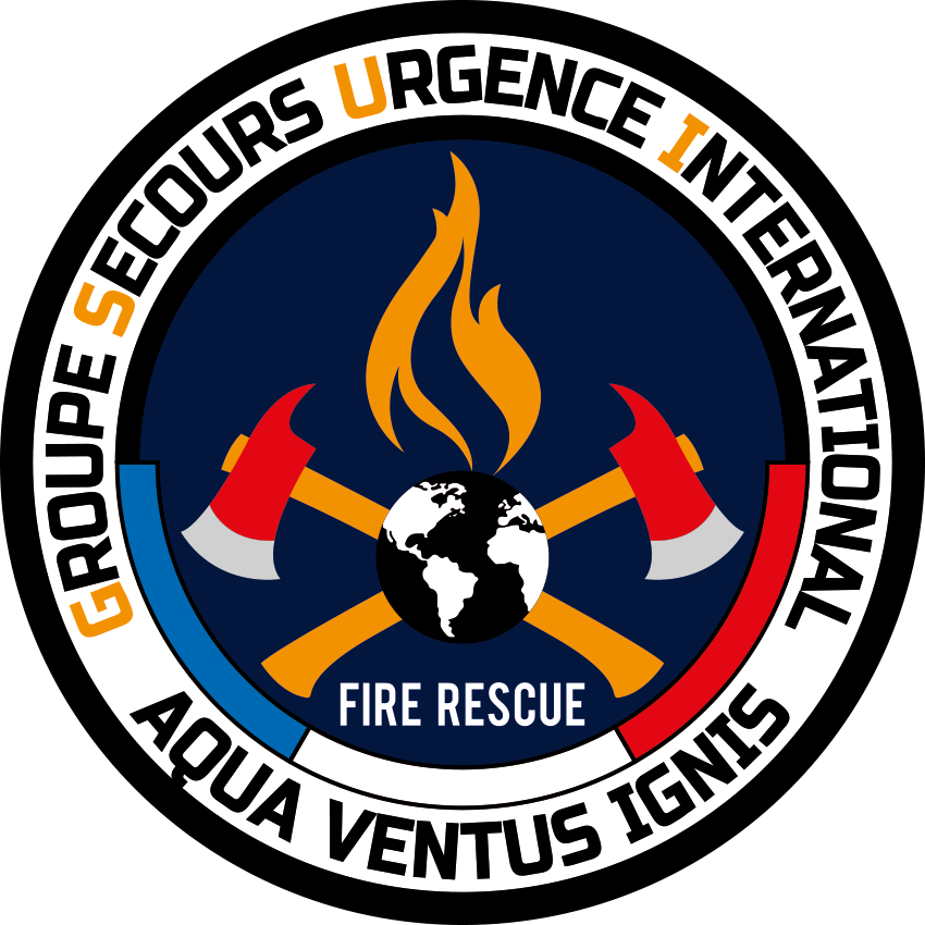 Logo final GSUI